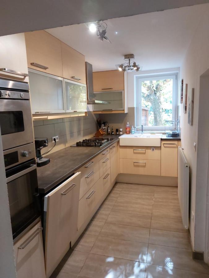 La Cambuse Des Gones - Gite 3 Chambres Thurins Экстерьер фото